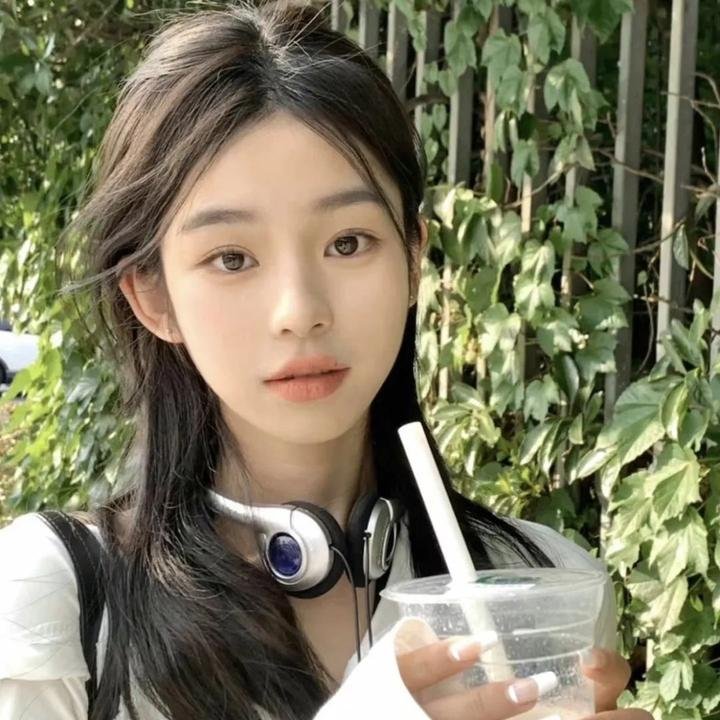 妖精森林的小不点
