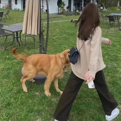 来自未来的你